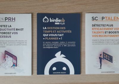 Flyers ScopLab