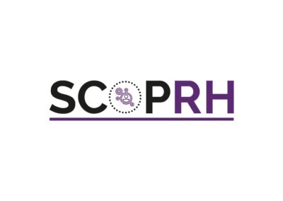 SEO ScopRH